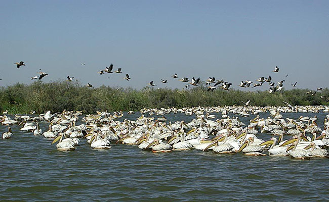 Parc des Oiseaux de Djouj